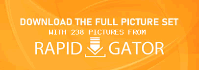 Download This Gallery!