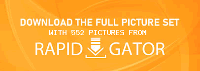 Download This Gallery!