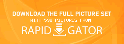 Download This Gallery!